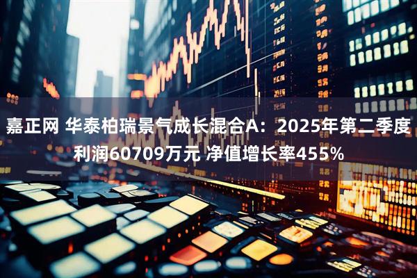 嘉正网 华泰柏瑞景气成长混合A:2025年第二季度利润60709万元 净值增长率455%