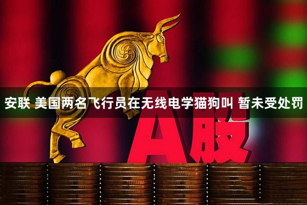 安联 美国两名飞行员在无线电学猫狗叫 暂未受处罚