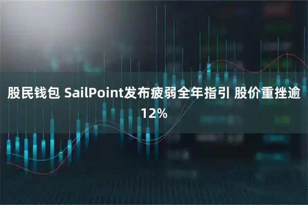 股民钱包 SailPoint发布疲弱全年指引 股价重挫逾12%