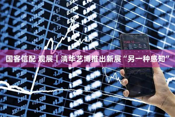 国客信配 观展|清华艺博推出新展“另一种感知”