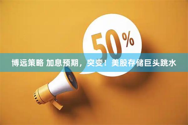 博远策略 加息预期，突变！美股存储巨头跳水